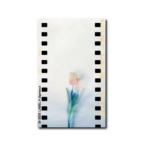 チューリップTULIP/ラジオステッカー