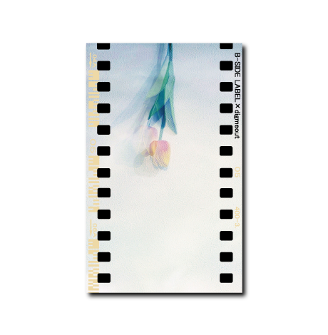 チューリップTULIP/ラジオステッカー