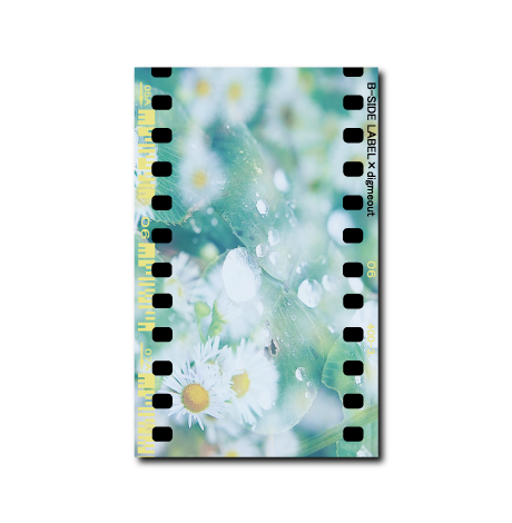 白い花FLOWERS/ラジオステッカー