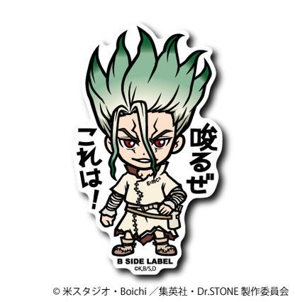 (Dr.STONE)コンプリートセット8種