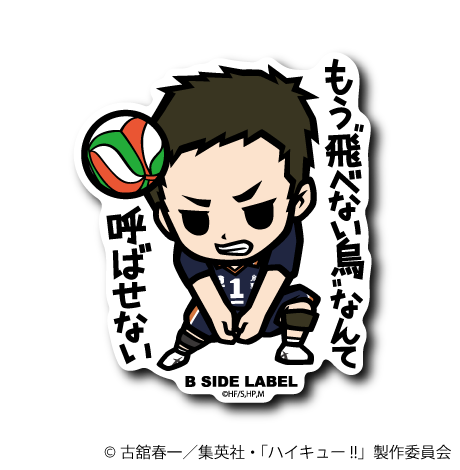 (ハイキュー！！)澤村大地｢もう飛べない烏なんて呼ばせない｣