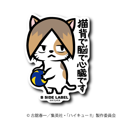(ハイキュー！！)音駒ネコ弧爪｢猫背で脳で心臓です｣