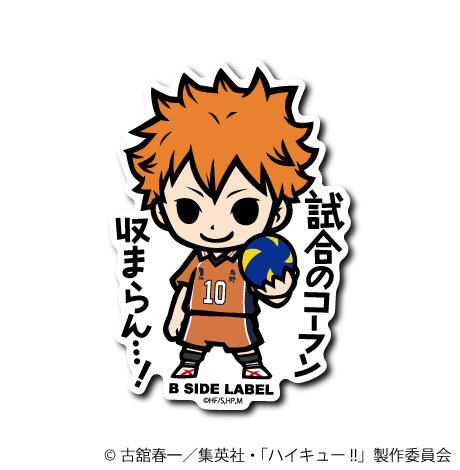 (ハイキュー！！)日向翔陽｢試合のコーフン収まらん・・・！｣