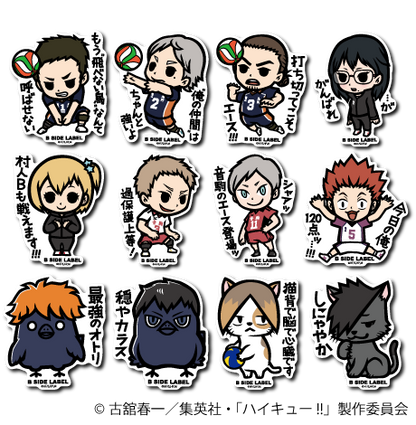 ハイキュー！！第2弾コンプリートセット12種
