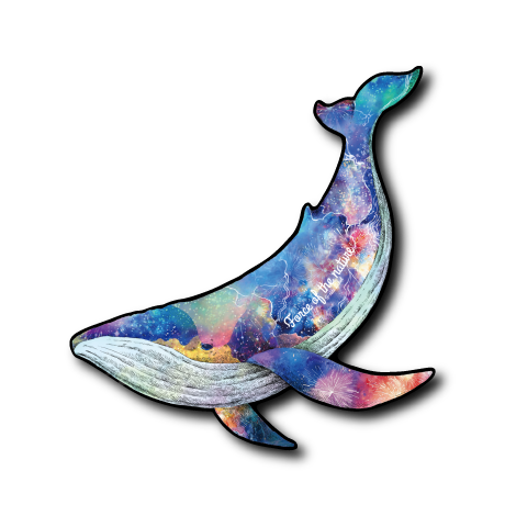 (夏企画)平成フォースクジラ花火