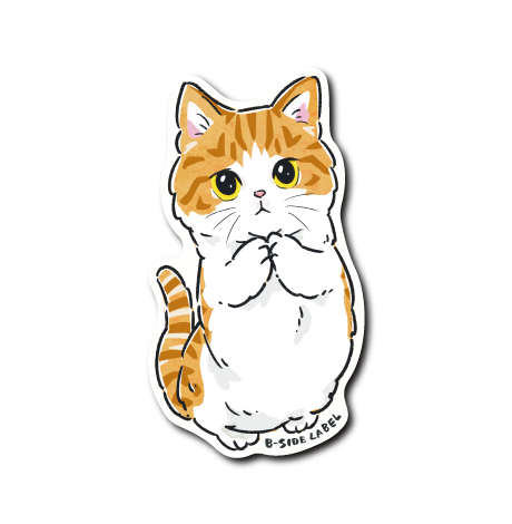 年末年始に猫様を迎えまして、猫様一色な毎日を送ってます〜🐈 どこぞの有名な猫ちゃんの飼い主さま は、自分のことを下僕と言ってたけど、今ならめっちゃわかる😂