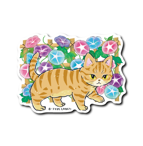 (にゃんポ〜ズ4)猫8月朝顔(茶トラ)