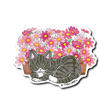 (にゃんポ〜ズ4)猫9月コスモス(サバトラ白)