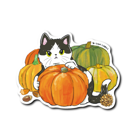 にゃんポ〜ズ4)猫10月かぼちゃ(ハチワレ黒白) – B-SIDE LABEL