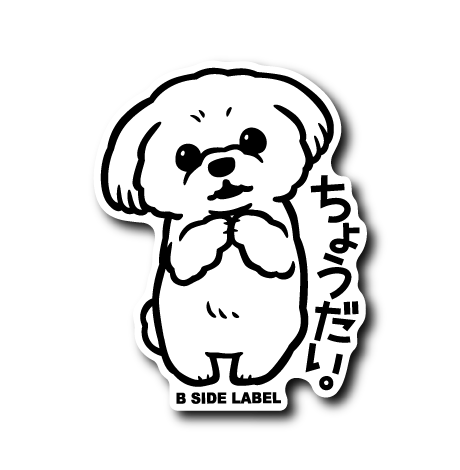 (GIVEME)シーズー(ちょうだい)