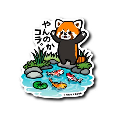 (和企画)レッサー池の鯉