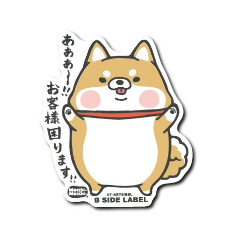Mocchi-モッチー-イヌ – B-SIDE LABEL