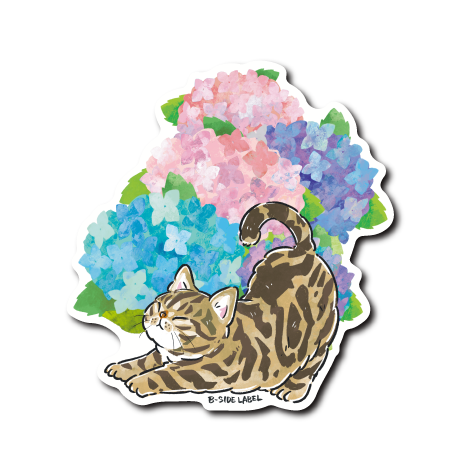 (晴雨企画/雨)猫のび紫陽花