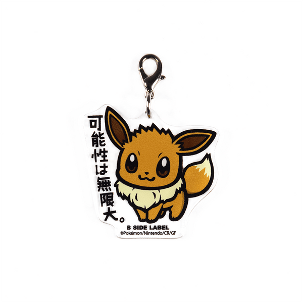 (ポケモン)イーブイ｢可能性は無限大｣/チャーム