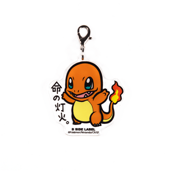 (ポケモン)ヒトカゲ｢命の灯火｣/チャーム