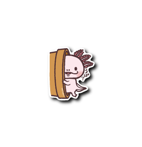 うぱ？ウーパールーパー(鉢)