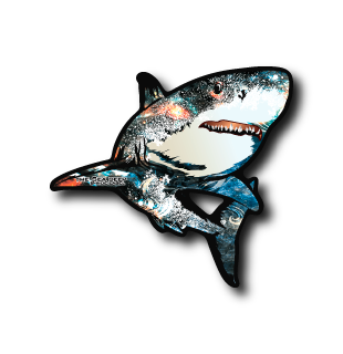 サメ(オレンジ)