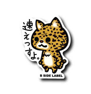 速ぇっすよ。
