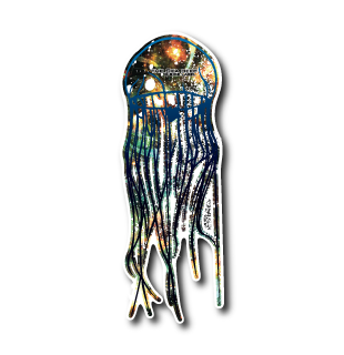 クラゲ(オレンジ)