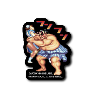 (CAPCOM)フンフン