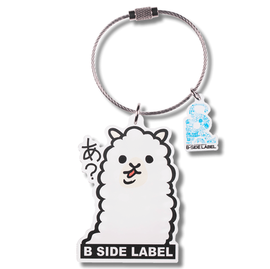 Wicked Weasel 2008・2009カタログ2冊とロゴステッカー2枚 Wicked Weasel 2008・2009カタログ2冊とロゴステッカー2枚