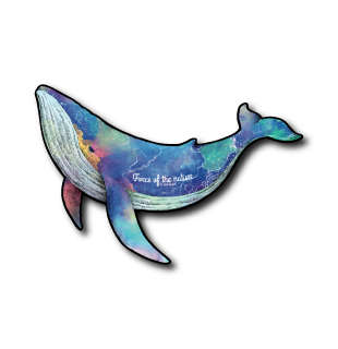 フォースクジラ