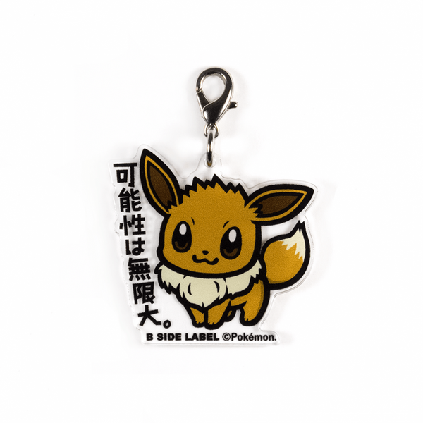(ポケモン)イーブイ｢可能性は無限大｣/チャーム