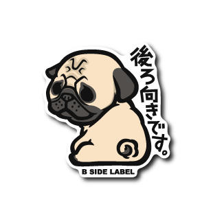 (パーソナル)パグ後ろ向きです