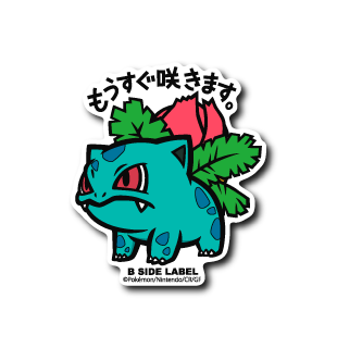 (ポケモン)フシギソウ｢もうすぐ咲き｣