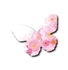(草花企画)桜と蝶写真